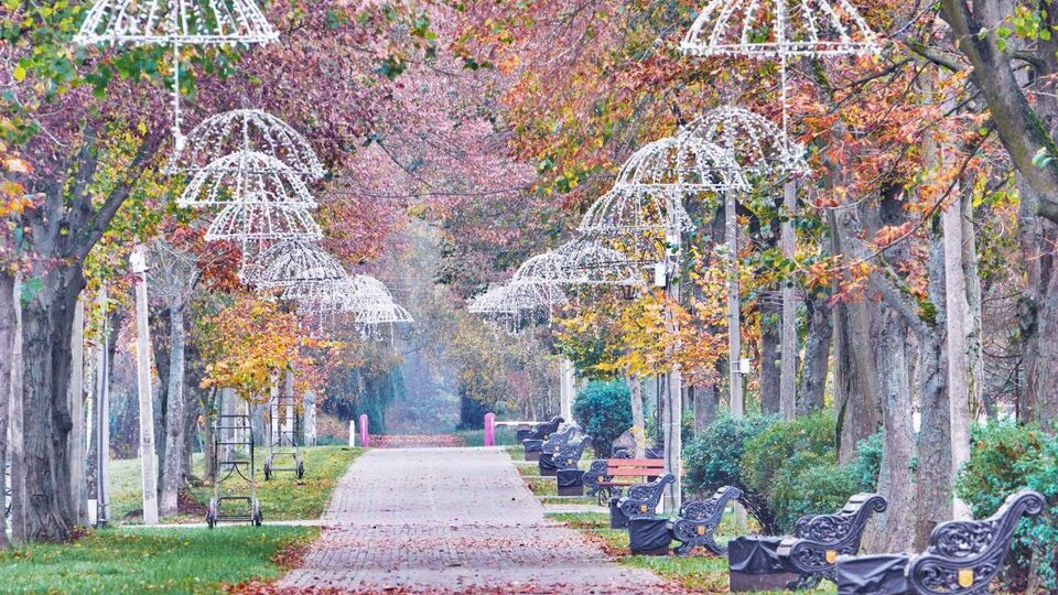 Осінь у Центральному парку на світлинах луцького фотографа