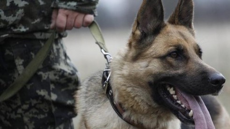 Хроніка пригод Луцька і Волині. Вівторок, 9 квітня. ФОТО