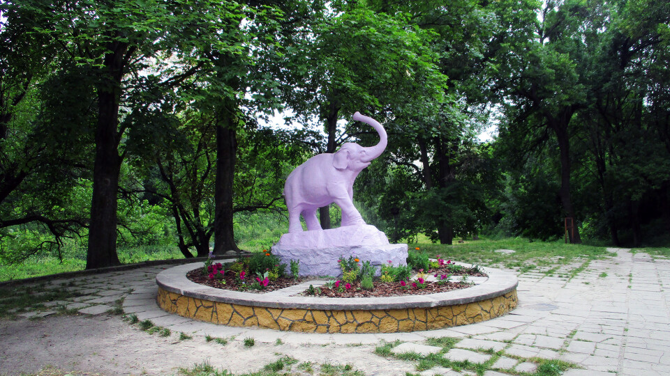 У Луцьку облагородять територію колишнього ботанічного саду на вулиці Шопена