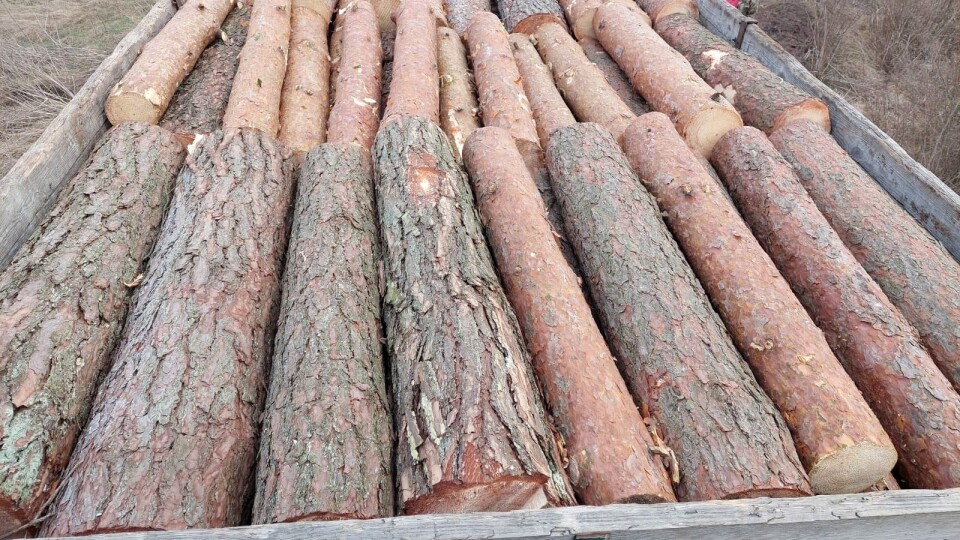 Волинські патрульні затримали вантажівку з краденою деревиною