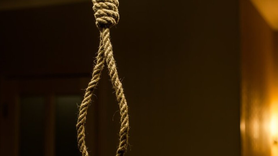 Знайшли повішеним ще одного брата покійного мера Кривого Рогу