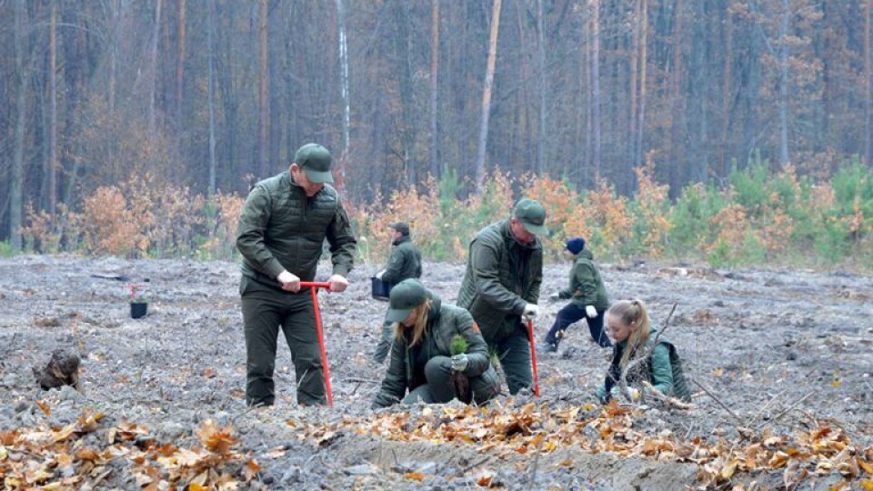 Волинські лісівники підбили підсумки осіннього етапу акції «Зелена країна» – 2021