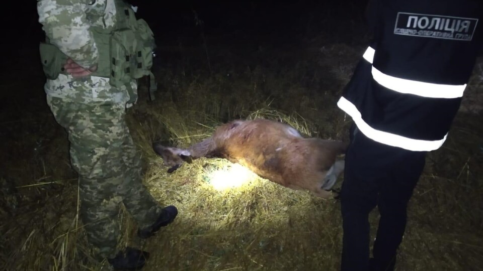 У крові мчав на квадроциклі: на Волині керівника шахти підозрюють у браконьєрстві