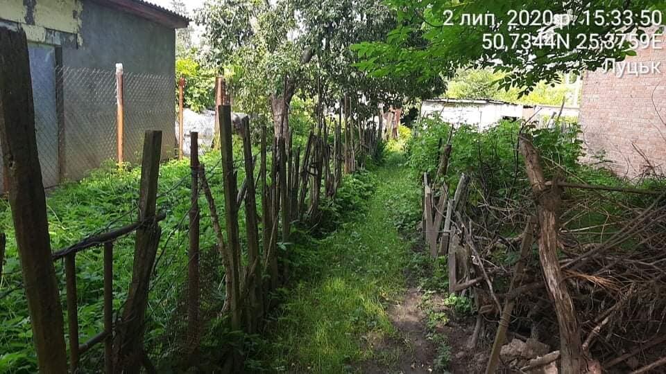 Луцькі нетрі: муніципали оголосили війну жахливим альтанкам і парканам