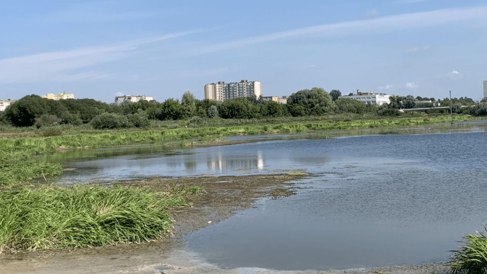 Лучанин просить очистити заплаву річки Стир. Зареєстрував петицію