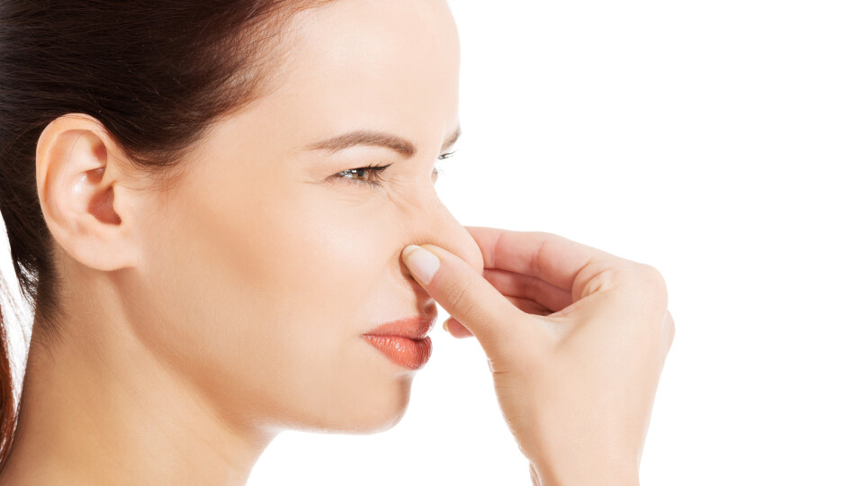 Через сморід у Луцьку відкрили кримінальне провадження