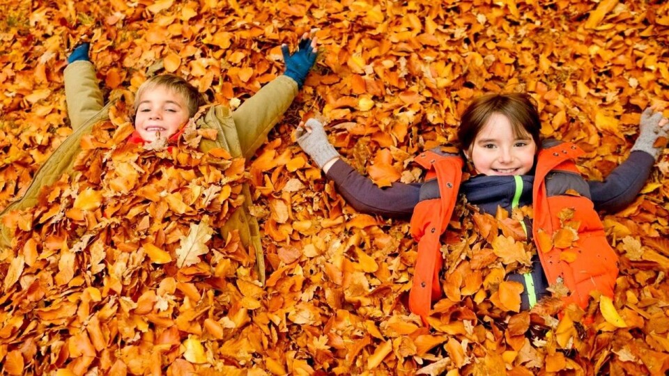 Осінні канікули можуть продовжити до 3-4 тижнів, – санлікар Кузін
