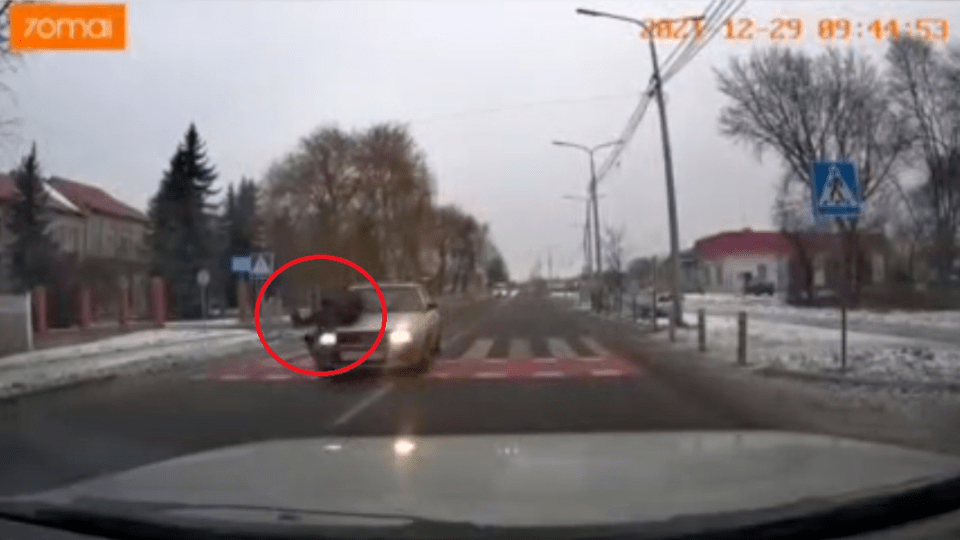 Опинився на капоті: пішохід, якого збили у Луцьку, не має ні до кого претензій