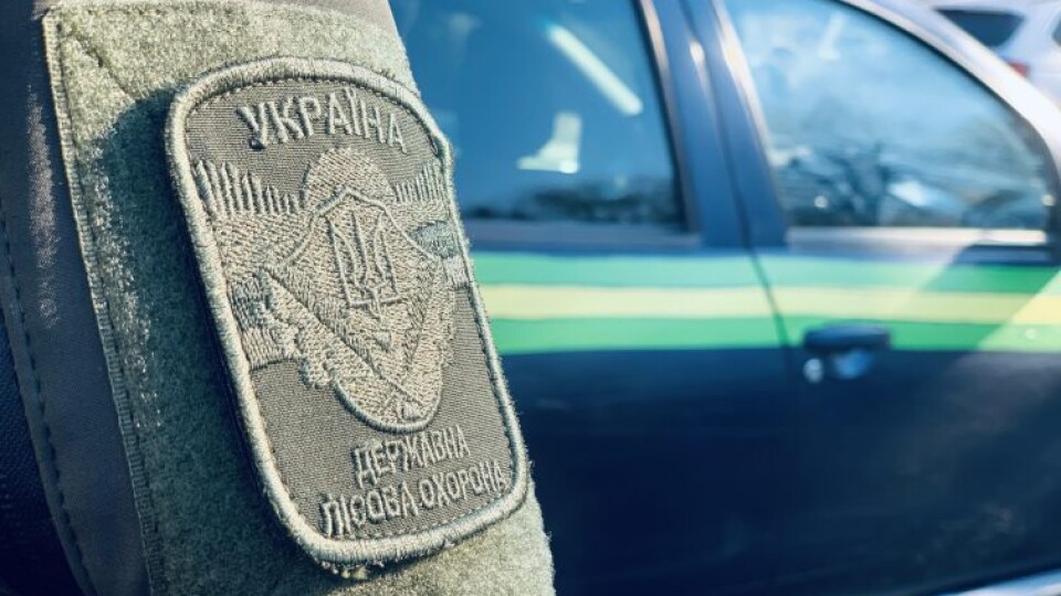 Які факти порушень лісового законодавства найчастіше фіксує державна лісова охорона