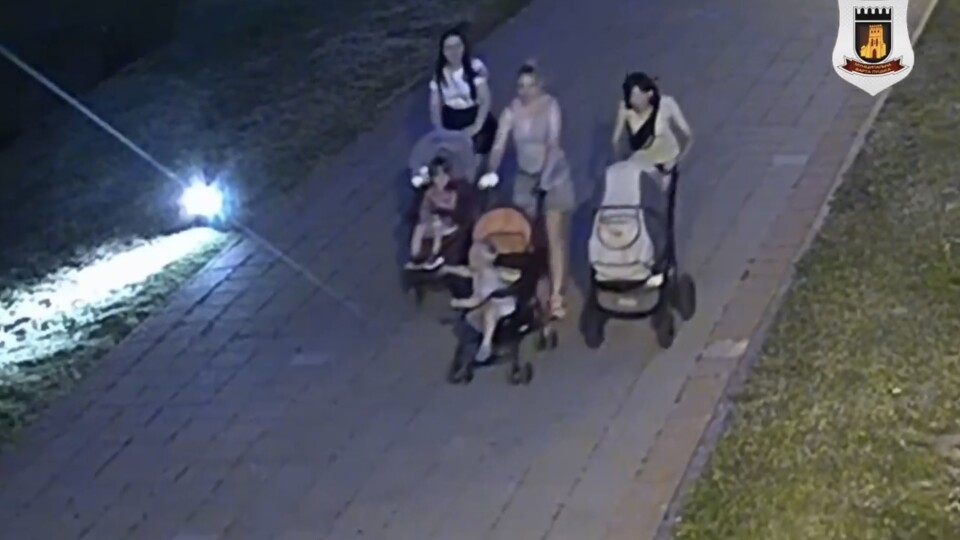 У Луцьку троє жінок викрали квіти, висаджені в центральному парку. ВІДЕО