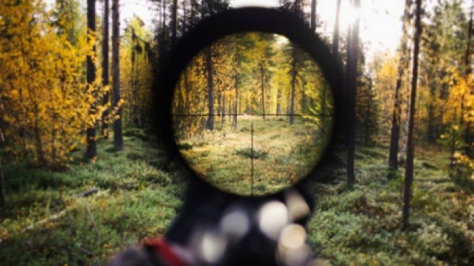 На Волині браконьєр стріляв у бік єгеря