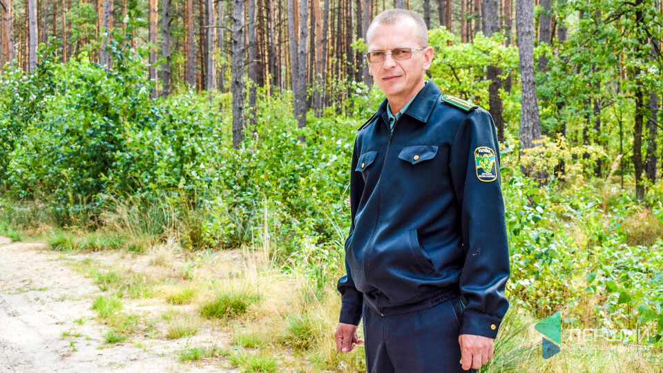 «Хто не любить лісу, довго тут не затримується»,  – лісничий Віталій Сидорчук