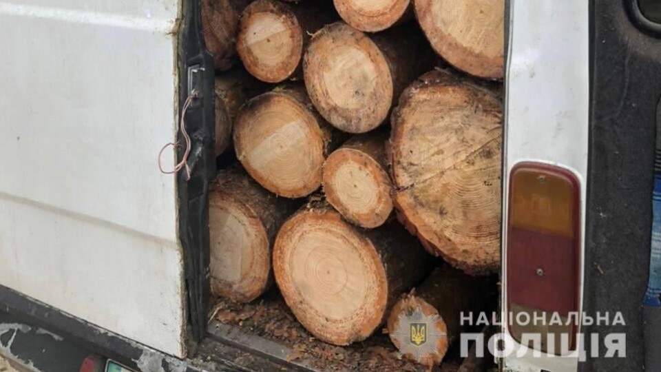 На Волині затримали вантажівку з краденими колодами