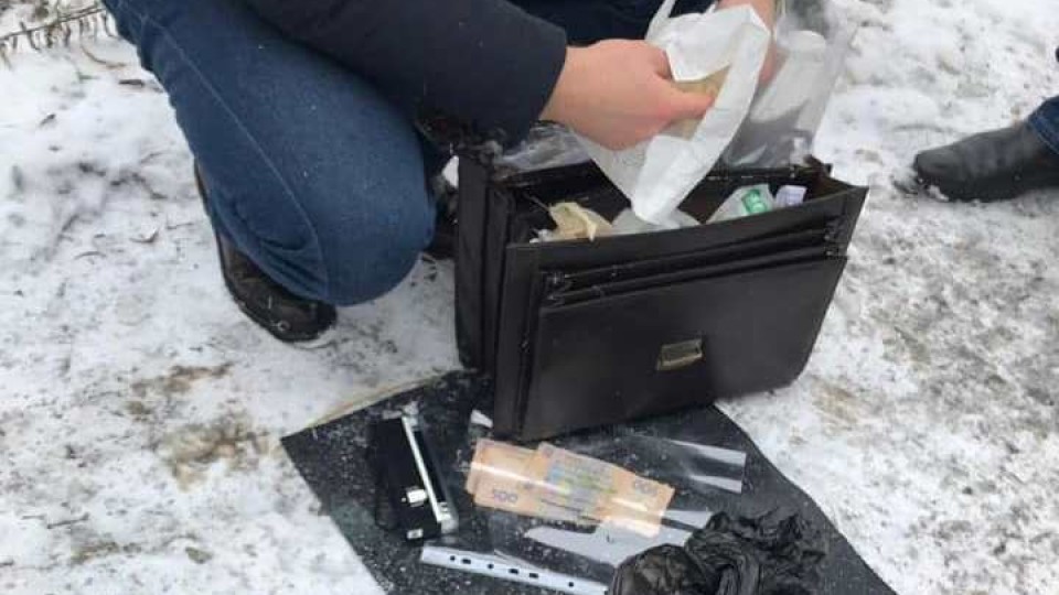 На Волині сільський голова за хабар дозволив повирізувати ялинки. ФОТО