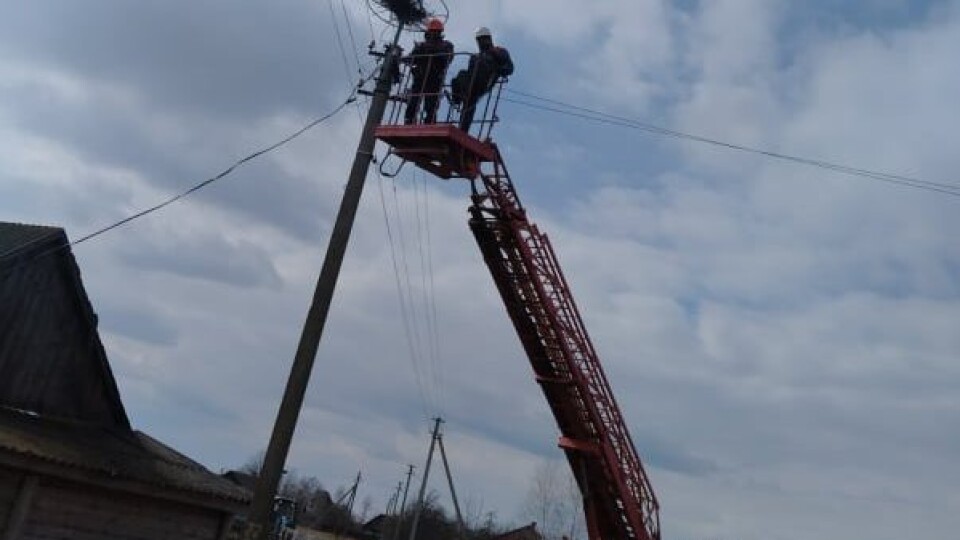 На Волині електрики встановили гнізда для лелек
