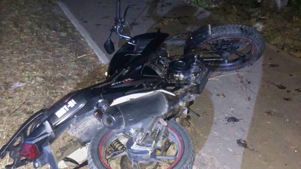 На Волині мотоцикліст врізався у дерево і загинув