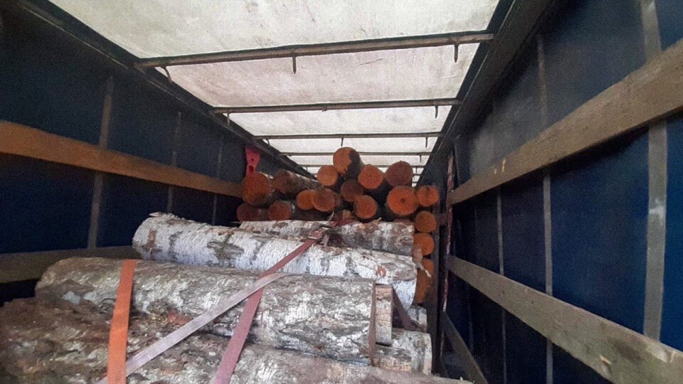 На рівненському блокпосту зупинили волинянина, який віз тридцять кубів берези. ФОТО