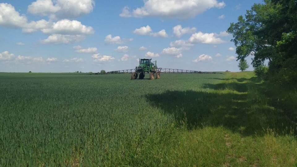 Волиняни та сусідні області будуть з хлібом. Підсумки посівної