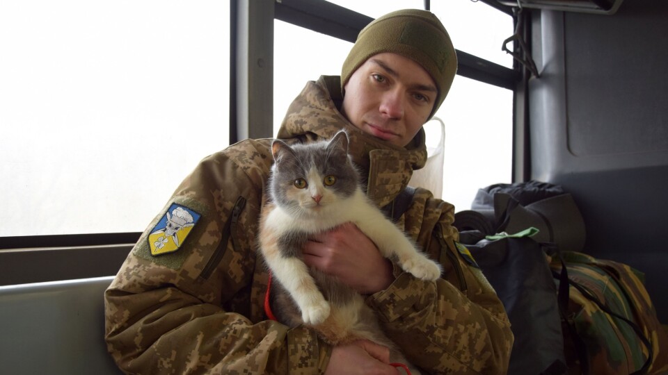 «Як я міг її там лишити?» Прикордонник привіз із зони бойових дій до Луцька пухнасту Пульку