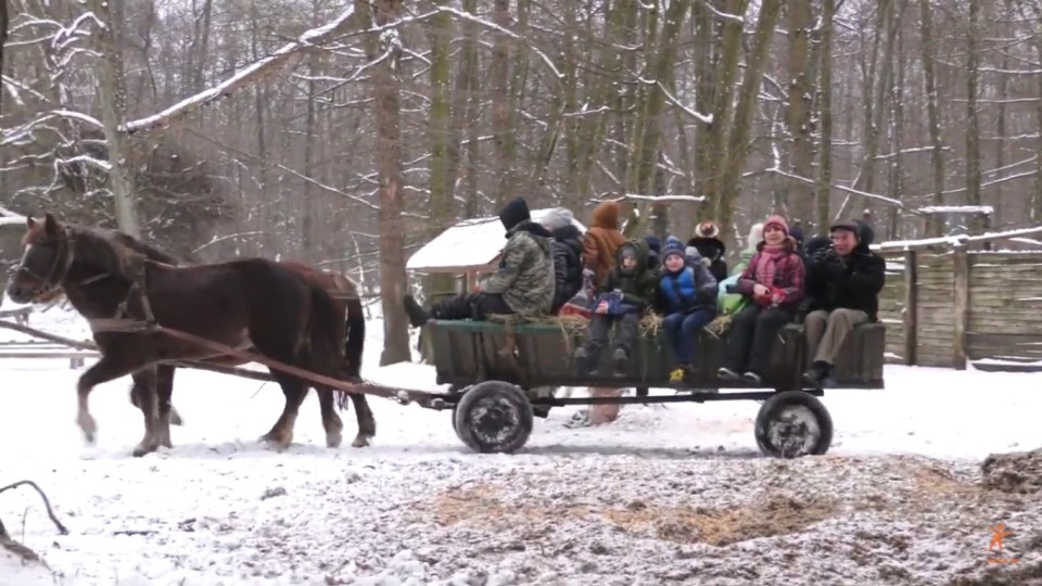 У ліс – на підводі: на Волині школярі пригощали лісових звірів смаколиками. ВІДЕО