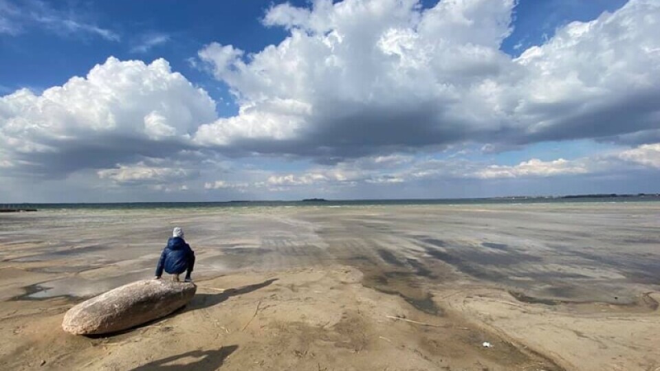 Обміління Світязю триває. Почали відновлювати меліоративні системи