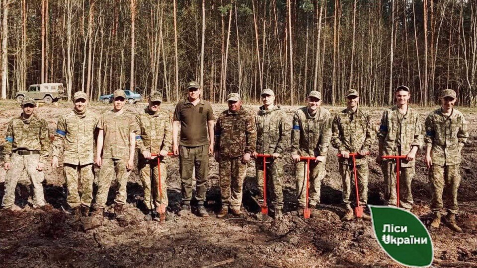 Допомагає на позиціях бійцям: на Волині прикордонники висаджували ліс. ФОТО