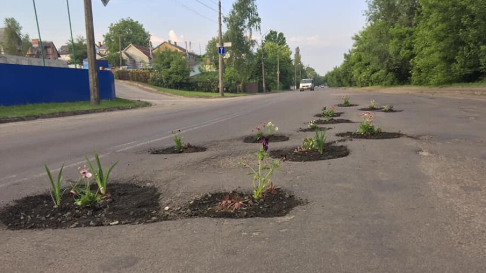 «Водії нам казали: «Молодці!» - лучанин, який засадив вибоїни квітами