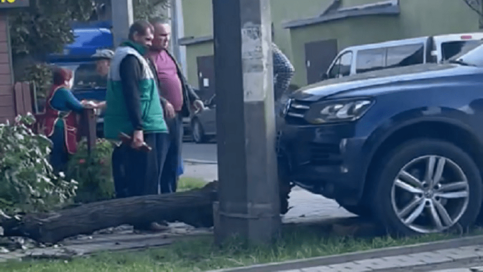 У Луцьку кросовер зніс дерево. За кермом був заступник начальника судової охорони
