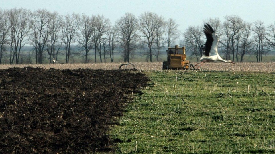 На Волині 40 гектарів землі повернули державі