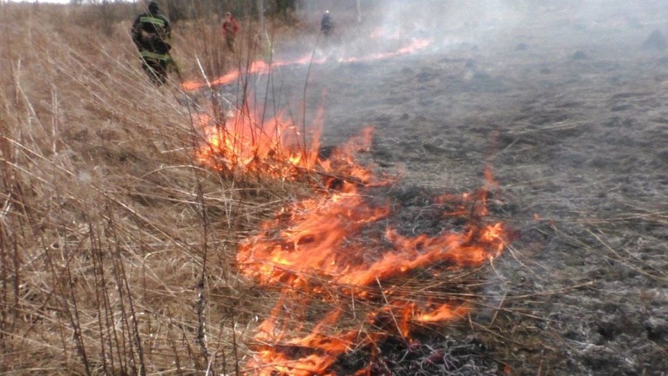 На Волині  вщент вигоріло 30 гектарів землі. ФОТО