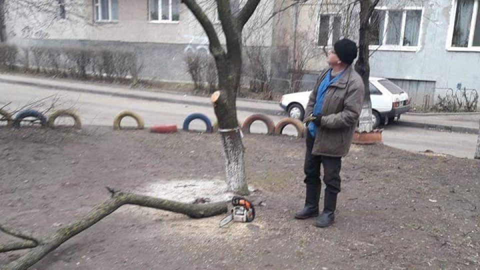 У Луцьку піймали людей, які без дозволу різала дерева. ФОТО