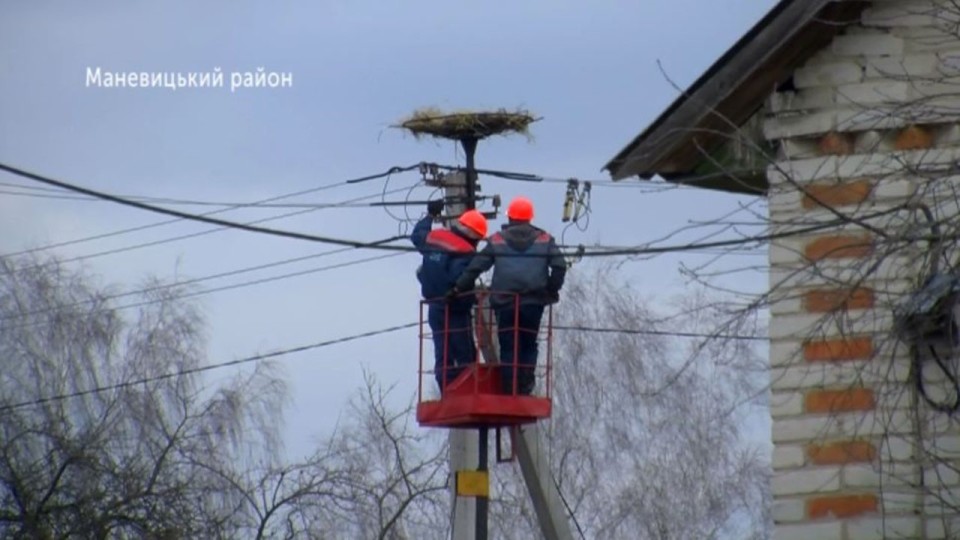 Волинські енергетики встановлюють безпечні лелечі гнізда. ВІДЕО