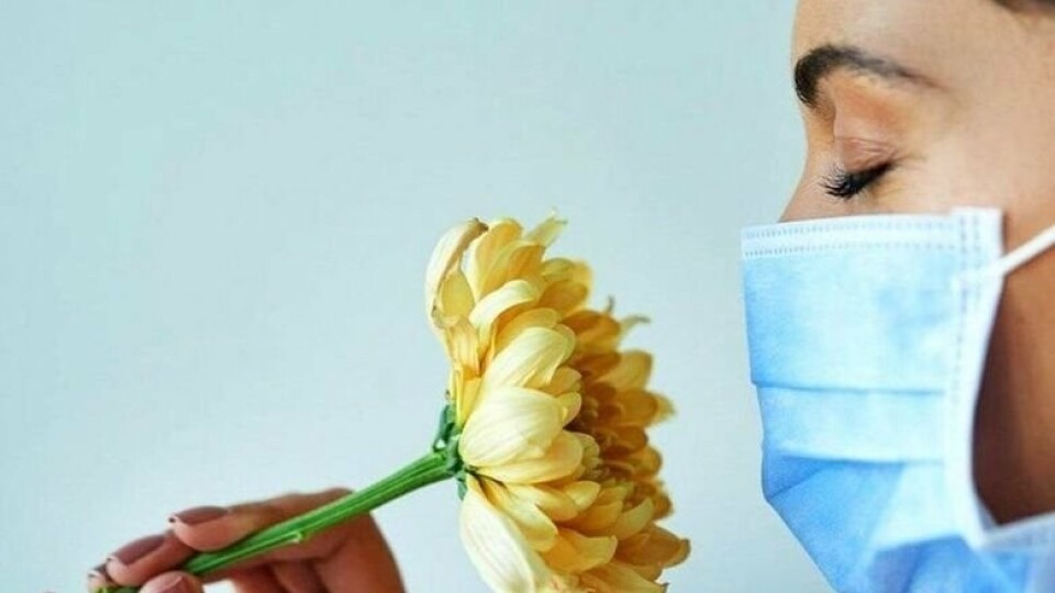 Чи завжди втрата нюху свідчить про коронавірус? Роз’яснення луцької лікарки