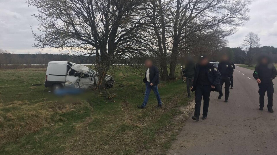 На Волині п'яний водій врізався в дерево. Пасажирка загинула на місці