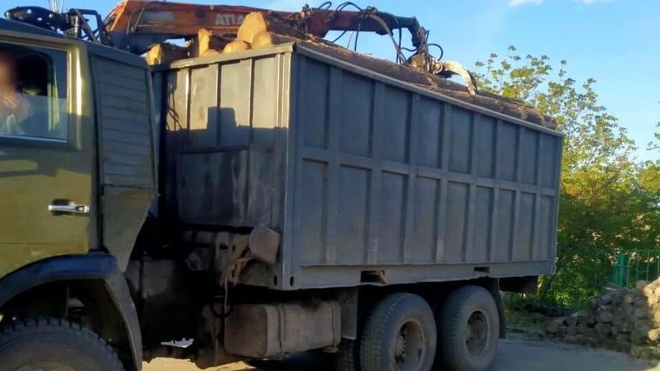 На Волині зупинили вантажівку з незаконною деревиною