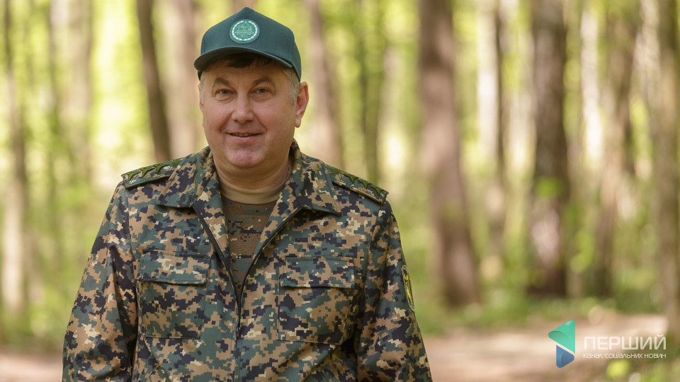 Депутат в темі - Володимир Бондар: Мораторієм на експорт кругляка ми стимулюємо банальне лісопиляння