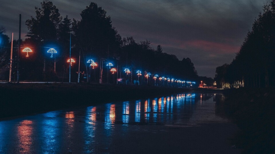На відеокамери в Центральному парку Луцька просять 1,5 мільйона гривень