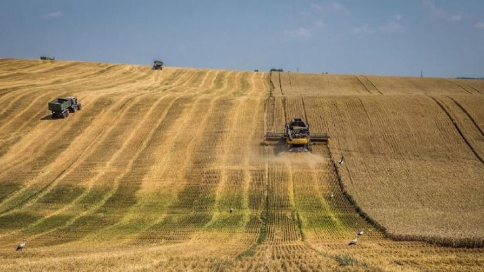 На Волині зібрали 50% врожаю ранніх зернових