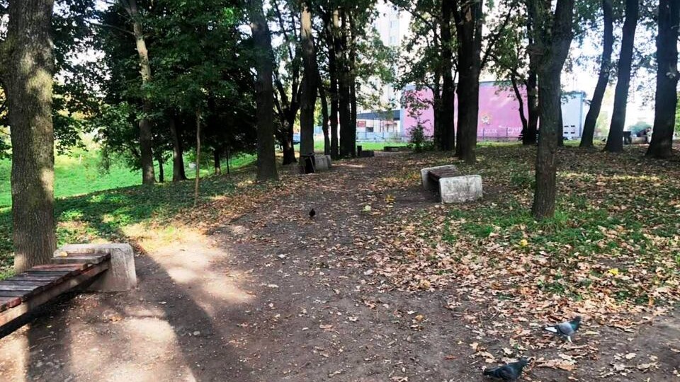 У Луцьку розпочали реконструкцію скверу «Дубовий гай»