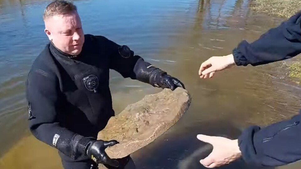 Роботи луцького скульптора Голованя зі Стиру витягли водолази