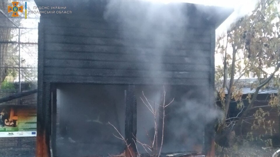 У Луцькому зоопарку в пожежі загинуло три мавпи