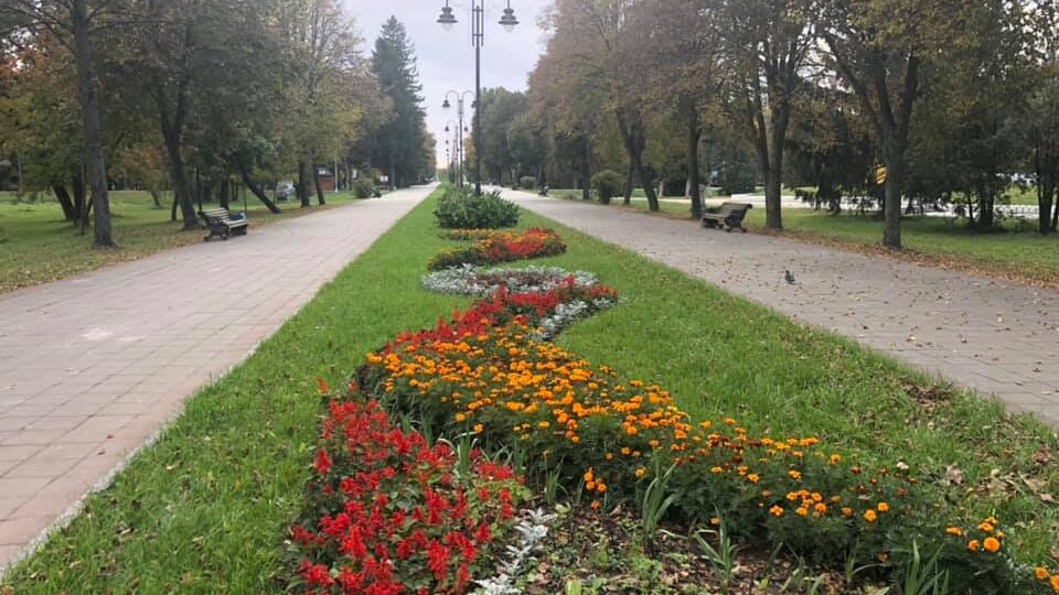У Центральному парку Луцька запустили безкоштовний Wi-Fi