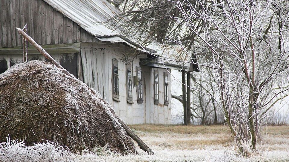 «Хоч декілька днів з інієм». Волинська зима на світлинах луцького мандрівника