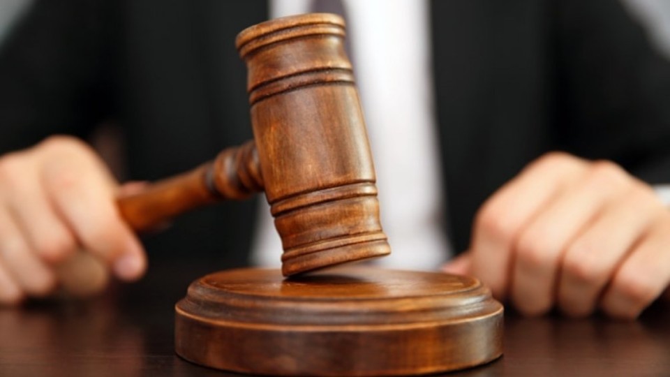 Судитимуть браконьєрів, які незаконно вбили на Любешівщині двох лосів