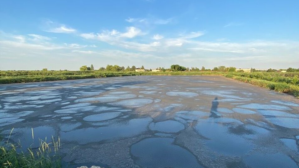 Під Луцьком знайшли ймовірне джерело смороду - мулові карти в Липлянах