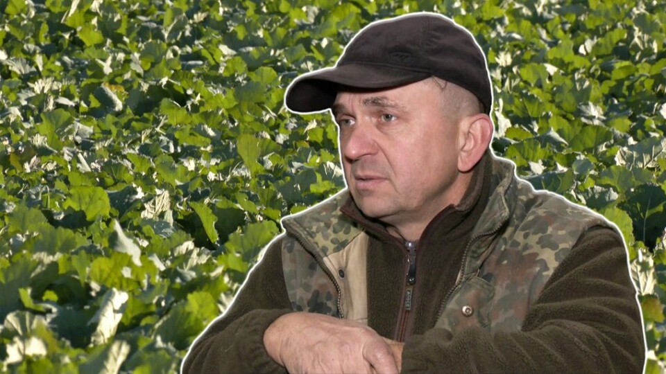 «Перед Різдвом в мене вже буде 10-й рік війни»: фермер з Волині господарює на землі та волонтерить
