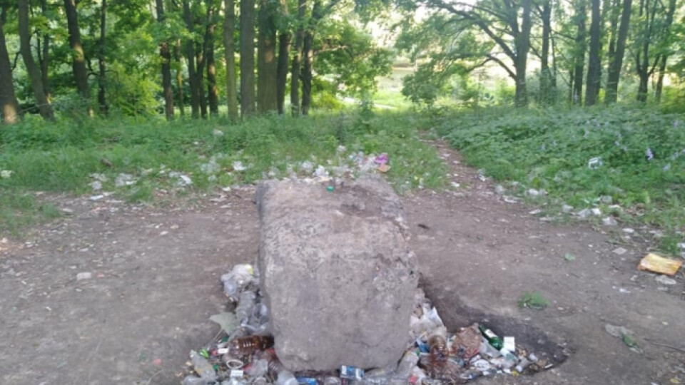 Організовують осіннє прибирання луцького парку «Дубовий гай»