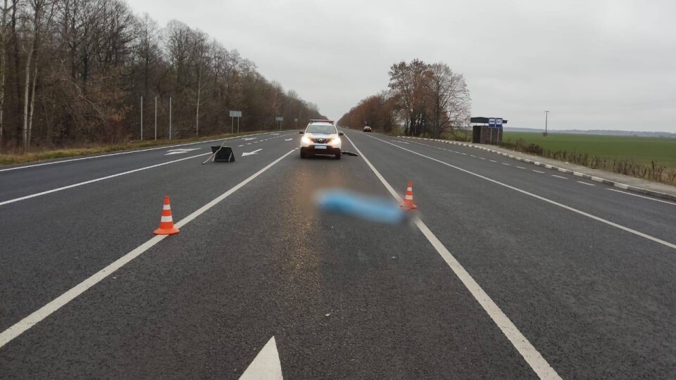 На Волині автомобіль збив на смерть людину. ФОТО