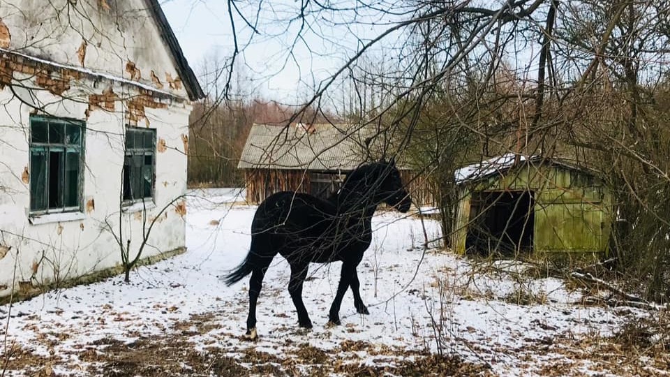 Зниклі села, 300-річна церква та величезні каньйони: історія подорожі Шацьким краєм. ФОТО