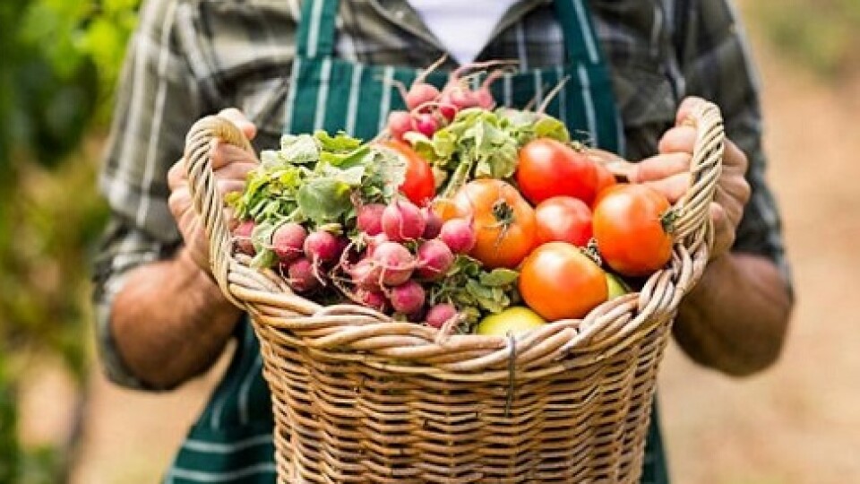 Депутати Луцької райради проти оподаткування продукції, зібраної на ділянці понад 50 сотих